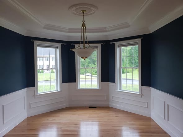 Interior painting nursery accent wall